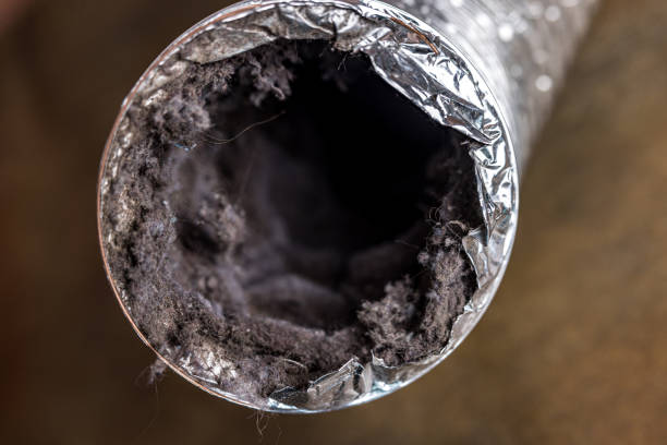 Best Ductwork Cleaning Services  in Bowling Green, FL