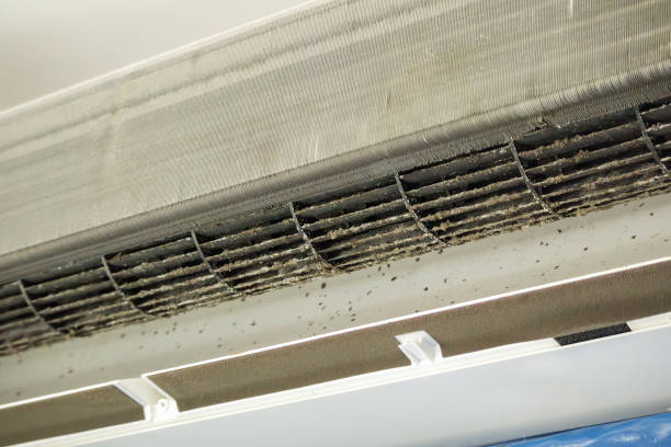 Best Home Air Vent Cleaning  in Bowling Green, FL